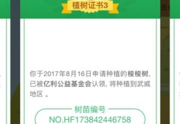 支付宝上的蚂蚁森林有什么用？(蚂蚁森林能量有什么用)