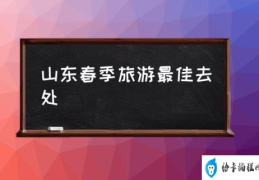 山东春季旅游最佳去处(山东省3月有什么好玩的地方？)