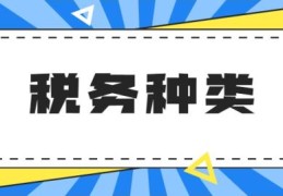 个人独资企业的税收规定(税收主要分为哪几类)