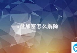 u盘加密怎么解除(U盘加密解除方法)