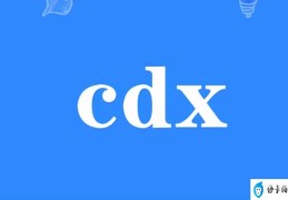 女生说cdx是什么意思(cdx什么意思)