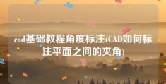 cad基础教程角度标注(CAD如何标注平面之间的夹角)