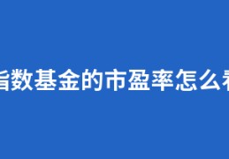 指数基金的市盈率怎么看