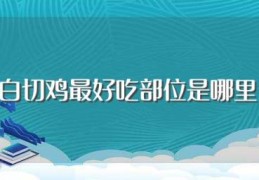 白切鸡最好吃部位是哪里(白切鸡是什么美食)