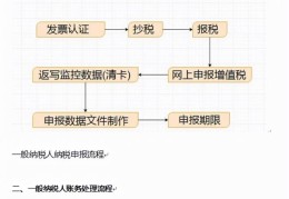 个体户网上税务申报流程(税务网上申报流程)