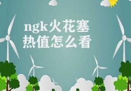 ngk火花塞热值怎么看(ngk火花塞热值测量方式)