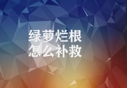 绿萝烂根怎么补救(绿萝健康生长策略)