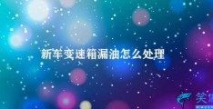 新车变速箱漏油怎么处理(如何处理新车变速箱漏油)