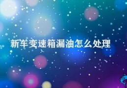 新车变速箱漏油怎么处理(如何处理新车变速箱漏油)