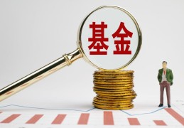 购买基金的技巧方法(基金可以买吗)