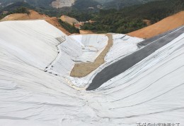 膨润土防水毯多少钱一平方(膨润土防水毯的价格)