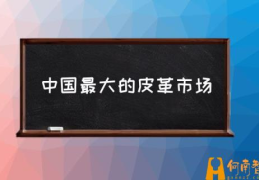 中国最大的皮革市场(海宁皮革城属于哪个省？)