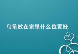 乌龟放在家里什么位置好(乌龟家庭环境护理)