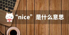 很nice的三种意思解读(nice中文是啥)