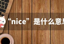 很nice的三种意思解读(nice中文是啥)