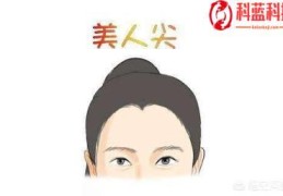 美人尖的由来与纯汉人有关系吗由来是怎样的(一般什么人会有美人尖)