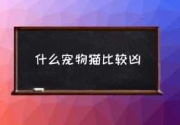 什么宠物猫比较凶(十种最凶猛的猫是哪些？)