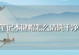 笔记本键帽怎么清洗干净(笔记本键盘帽清洁步骤)