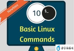 linux初学者常用命令(linux基础命令的使用)