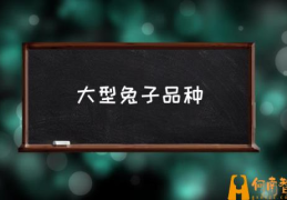 大型兔子品种(10斤以上的兔子品种？)