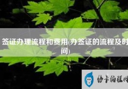 签证办理流程和费用(办签证的流程及时间)