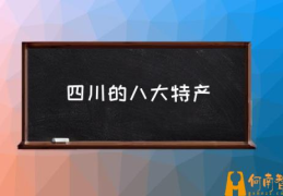 四川的八大特产(四川最出名的特产是什么？)