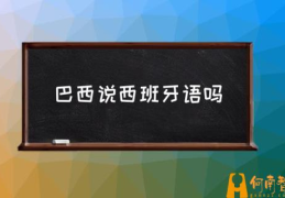 巴西说的是什么语言？(巴西说西班牙语吗)