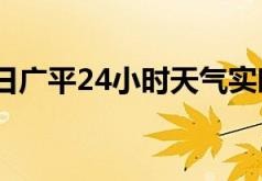 01月13日广平24小时天气实时预报