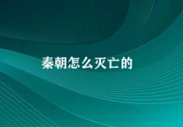 秦朝怎么灭亡的(秦朝灭亡的不幸之路)