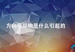 方向机异响是什么引起的(方向机异响的原因及处理方法)