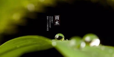 2024年苏州4月份雨水多吗(苏州雨季一般在几月份)