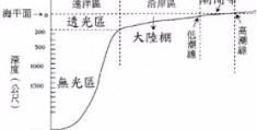 海底世界有什么动物和生物(海底世界有什么)