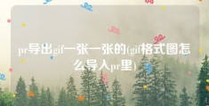 pr导出gif一张一张的(gif格式图怎么导入pr里)