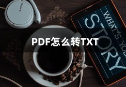 pdf怎么转换成txt格式