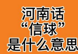 形容傻子脑瓜的意思(河南话信球什么意思)