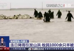 山洪致1000多只羊被困民警蹚水救援(水最深处已及腰)