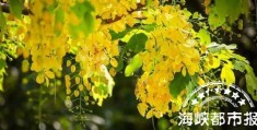 中秋节的由来故事简短100字(中秋节的由来)