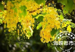 中秋节的由来故事简短100字(中秋节的由来)