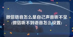 微信语音怎么是自己声音听不见(微信听不到语音怎么设置)