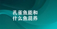 孔雀鱼能和什么鱼混养(孔雀鱼与其他鱼类混养注意事项)