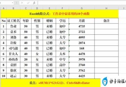 excel函数怎么用(Excel工作表中最常用的10个函数)