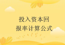 投资20万生意一年赚多少正常(投资回报率的四种算法具体公式)