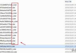 dat属于的类型文件(dat是什么文件格式可以删吗)