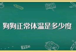 狗狗正常体温是多少度(在哪里探热)