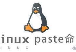 Linux中paste命令怎么用