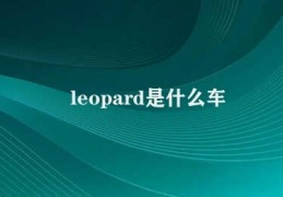 leopard是什么车(乐豹汽车：一款具有豪华特色的车型)