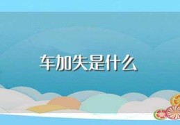 车加失是什么(车加失是什么词)