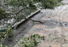 冻雨路面会结冰吗(冻雨路面如何安全驾驶)