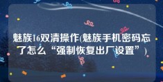 魅族16双清操作(魅族手机密码忘了怎么“强制恢复出厂设置”)