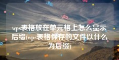 wps表格放在单元格上怎么显示后缀(wps表格保存的文件以什么为后缀)